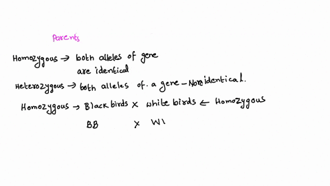 10a-homozygous-black-bird-is-crossed-with-a-homozygous-white-bird-the-offspring-are-all-bluish-gray-what-will-the-genotype-of-the-offspring-be-homozygous-bb-homozygous-ww-a-mix-of-homozygous-10076