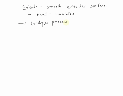 1038-ql-0d-13558-exit-condylar-process-the-extends-to-the-smooth-articular-surface-of-the-head-of-the-mandible-alveolar-part-mylohyoid-line-coronoid-process-condylar-process-mandibular-fossa-48882