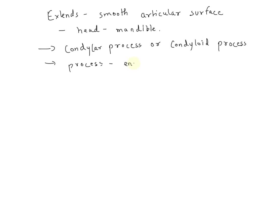 SOLVED Mandibular Foramen Alveolar Margin Mandibular Angle Ramus Of mandible-anatomy-qa