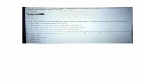 16-lee-is-a-school-board-president-he-is-focused-on-creating-a-fair-work-environment-for-all-teachers-and-staff-at-his-school-his-goal-is-to-create-a-school-environment-in-which-everyones-un-92752