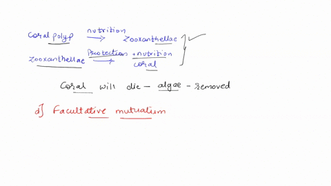 in-many-coral-species-the-coral-polyps-obtain-additional-nutrition-by-harboring-photosynthetic-algae-called-zooxanthellae-the-zooxanthellae-receive-some-protection-from-predation-by-being-in-05087