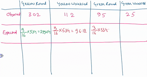 a-cross-in-garden-pea-results-in-302-yellow-round-seeds-112-yellow-wrinkled-seeds-95-green-round-seeds-25-green-wrinkled-seeds-by-means-of-chi-squared-analysis-determine-if-a-9331-dihybrid-c-65286