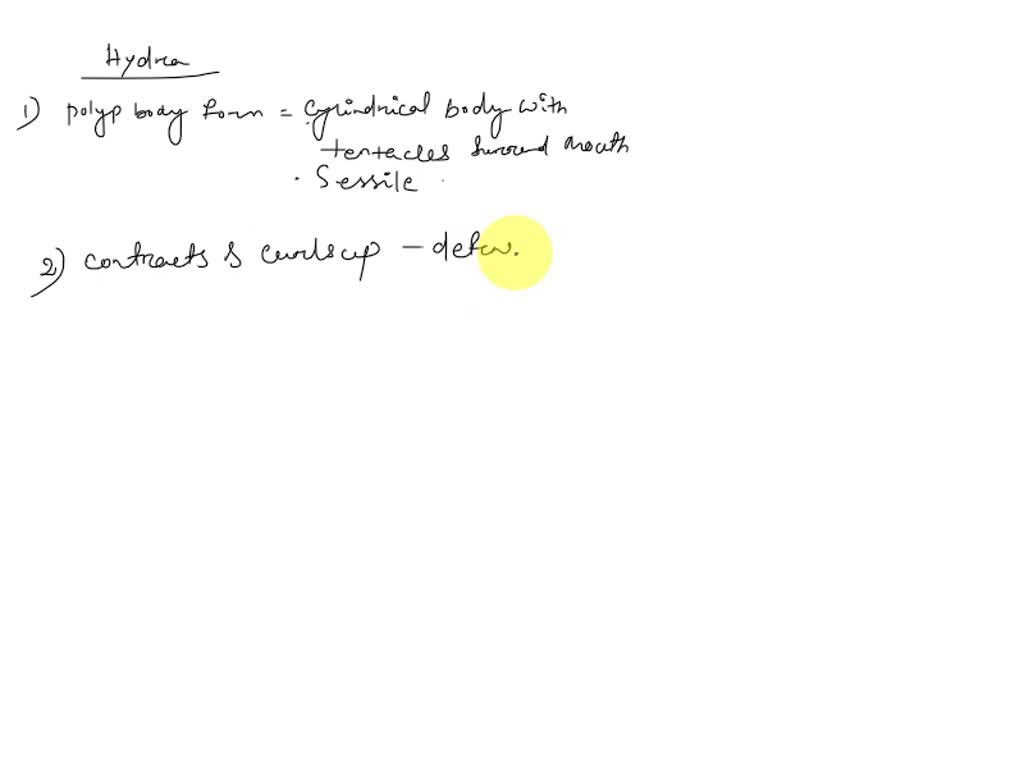 Check Your Understanding 2.1: Describe the polyp body form using the ...