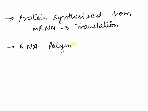 which-direction-will-our-mrna-molecule-be-translated-left-to-right-or-right-to-left-how-do-you-know-35164