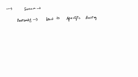 what-happened-when-the-respective-serum-was-added-to-the-red-blood-cells-02262