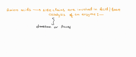 which-two-the-following-amino-acids-are-most-likely-to-provide-a-side-chain-that-would-be-useful-in-the-active-site-of-an-enzyme-that-does-acidbase-catalysis-choose-two-alanine-phenylalanine-17938
