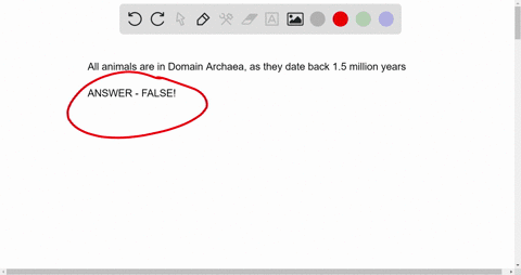 8-all-animals-are-in-domain-archaea-as-they-date-back-to-15-million-years-true-false-85814