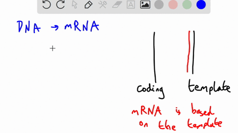 question-35-pts-given-the-folowing-dna-coding-strand-act-atg-ccc-cct-aca-3-the-am-no-acid-snquence-the_genemiccode-second-letter-ucu-ucc-uav-vac-ucu-vac-ua4-oominstor-ugo-wc-uua-ucge-uag-cuu-77122