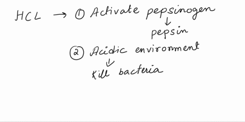 which-of-the-enzymes-produced-in-pancreatic-juice-breaks-down-carbohydrates-into-smaller-components-a-hydrochloric-acid-b-bile-c-amylase-d-pepsin-18342