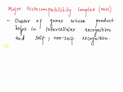 class-ii-mhc-genes-code-for-multiple-choice-certain-secreted-complement-components-self-receptors-recognized-by-natural-killer-cells-all-hla-antigens-receptors-located-primarily-on-macrophag-74267
