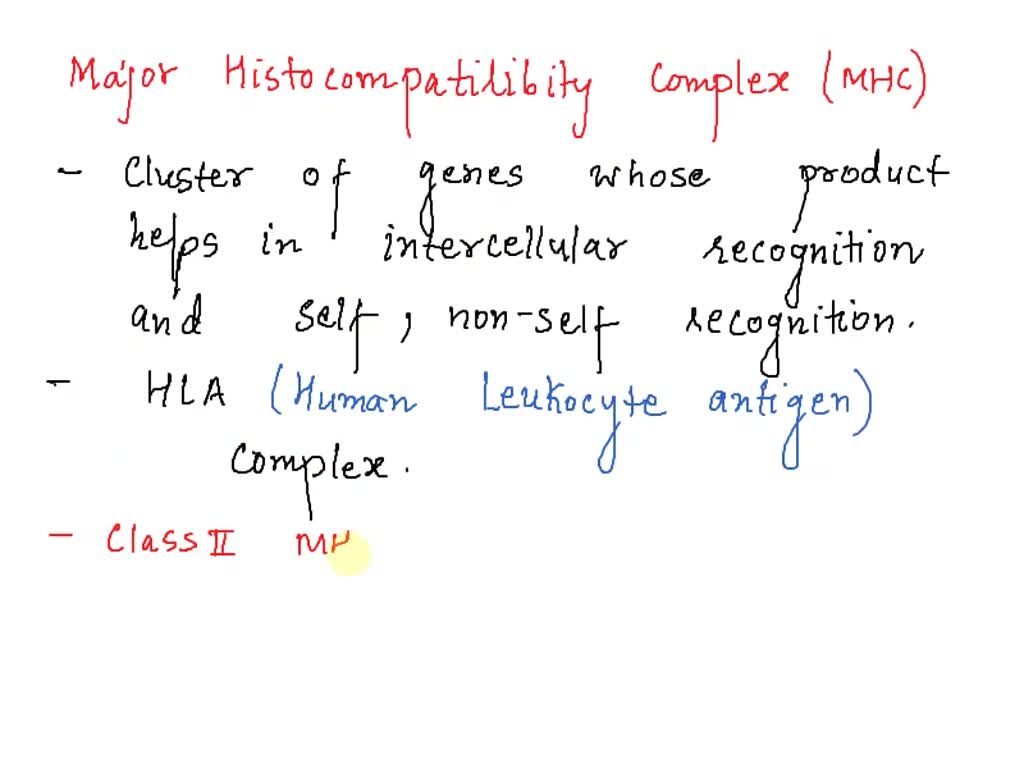 SOLVED: Class II MHC genes code for Multiple Choice certain secreted ...