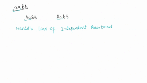 directions-for-the-following-problem-calculate-the-probability-of-the-offspring-between-the-cross-using-the-sum-and-product-rule-the-parent-generation-has-genotypes-of-aa-bb-and-aa-bb-what-i-91189