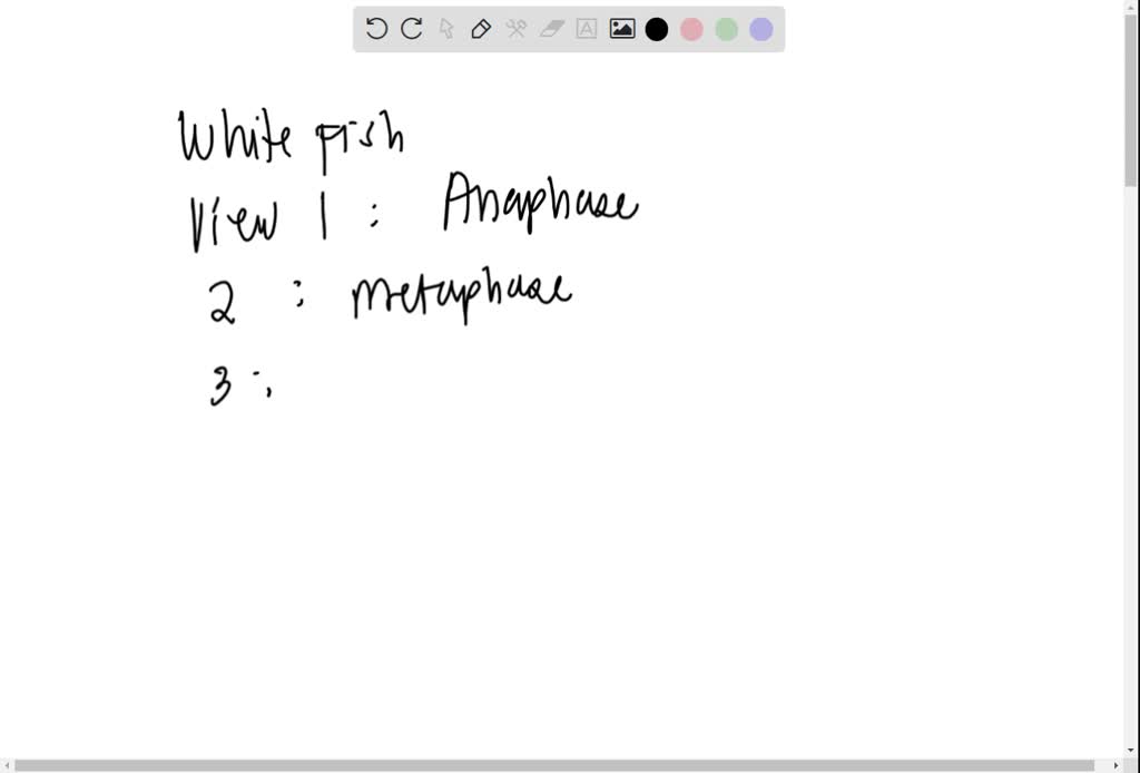 SOLVED Onion Whitefish each. For organism, Mitosis in Whitefish View 1