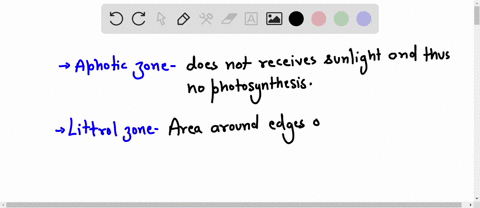 match-the-lakepond-zone-to-its-definition_-does-not-receive-sunlight-no-photosynthesis-lower-in-a-littoral-zone-oxygen-b-aphotic-zone-extends-along-bottom-of-lake-from-shore-to-deepest-point-58665