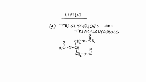question-7-describe-three-different-types-of-lipids