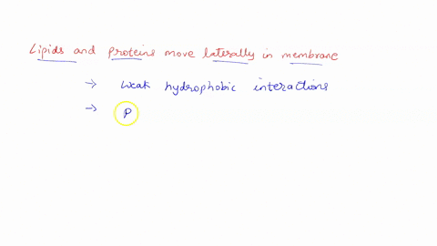 203-mc-why-are-lipids-and-proteins-free-to-move-laterally-in-membranes-molecules-such-as-cellulose-can-pull-them-in-various-directions-lipids-and-proteins-repulse-each-other-in-the-membrane-97048