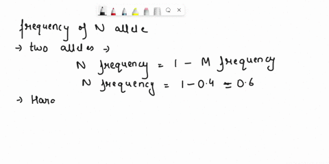 you-have-a-population-in-hardy-weinberg-equilibrium-for-the-m-and-n-alleles-these-alleles-are-codominant-the-allele-frequency-of-m-is-04-what-is-the-frequency-of-heterozygotes-in-the-populat-09013
