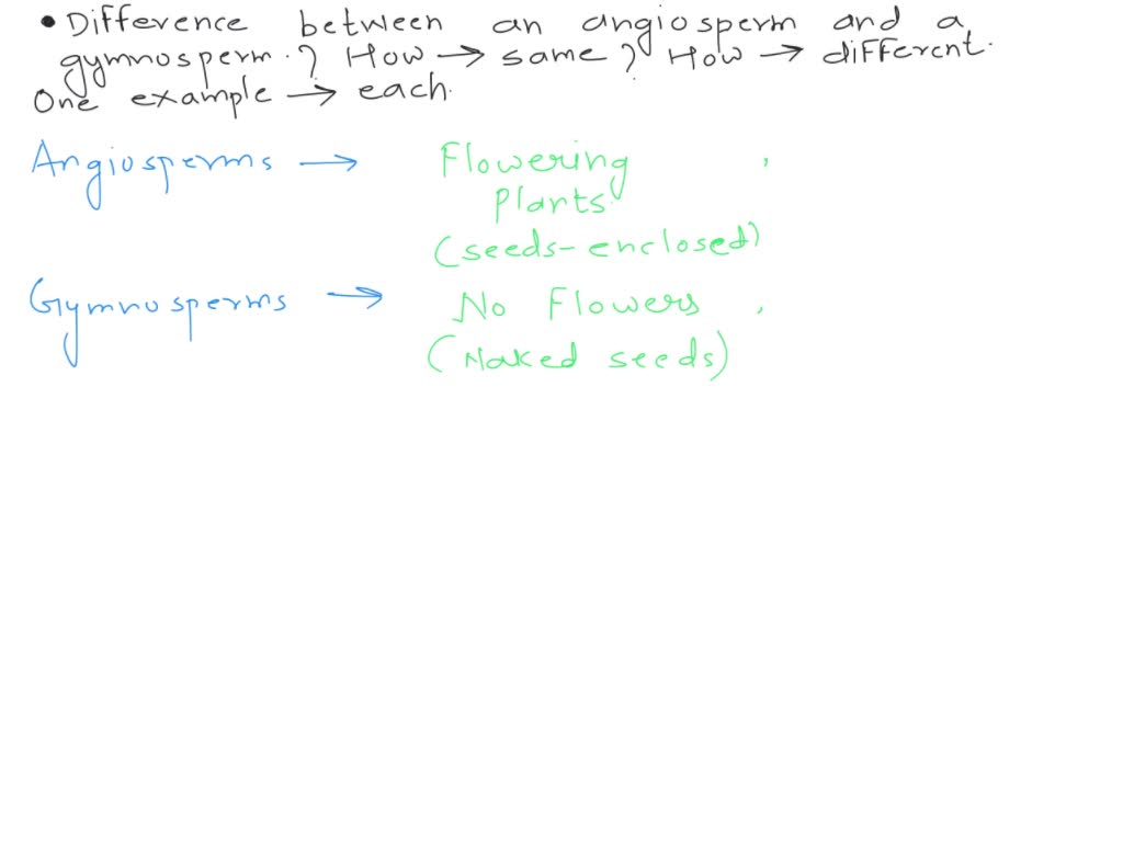 SOLVED: What is the difference between an angiosperm and a gymnosperm ...