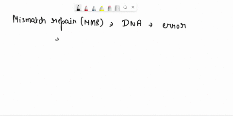 which-dna-repair-pathway-targets-errors-that-happen-during-dna-replication-group-of-answer-choices-a-homologous-recombination-and-nhej-b-mismatch-repair-c-mismatch-repair-homologous-recombin-25751