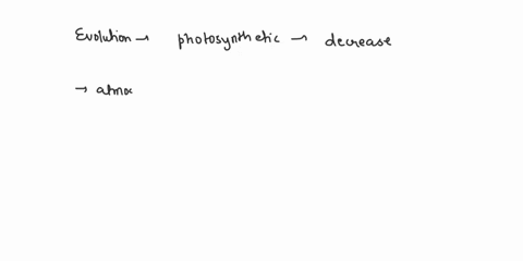 explain-how-the-evolution-of-photosynthetic-autotrophs-affected-both-the-atmosphere-and-other-organisms-54161