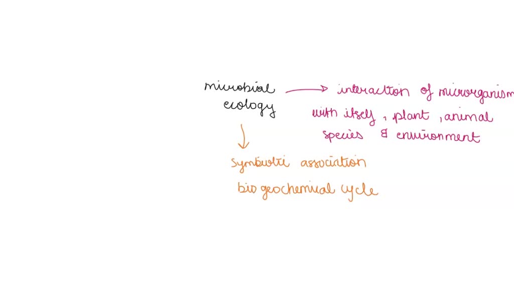 SOLVED: Note making and summary of chapter The ailing planet The green ...