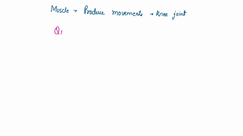 identify-the-muscles-that-produce-movements-at-the-knee-joint-am-include-the-action-of-each-muscle-at-the-knee-16982
