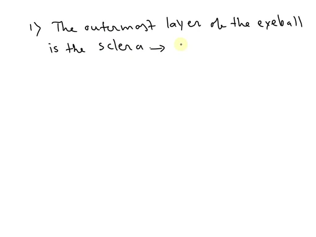 SOLVED Which outer layer of dense connective tissue serves to protect