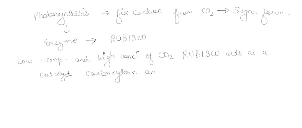 SOLVED: Approximately 25% of the time, the enzyme Rubisco adds a ...