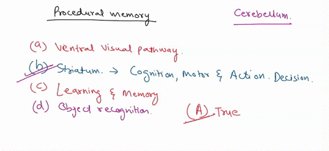 tniciloline-ollowngituctu-inferolemporul-cortcx-striatum-hippocampus-pararhinal-conter-15-pcople-with-huntington-discase-and-parkinson-discasc-show-procedural-memory-deficits-tnje-false-the-11306