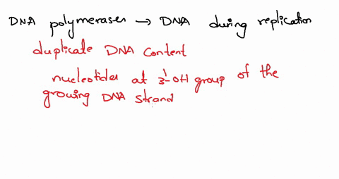 1-list-two-things-that-are-required-for-dna-polymerase-to-begin-synthesizing-new-strand-2-in-what-direction-does-dna-polymerase-synthesize-new-strands-3-how-does-the-directionality-of-dna-po-33854