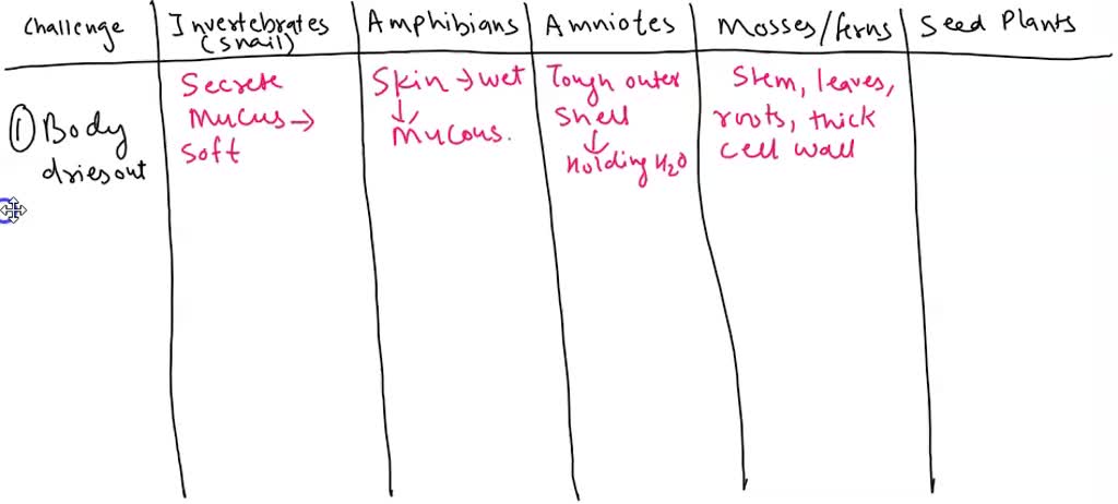 SOLVED: Vertebrate solutions Plant solutions Invertebrate solutions