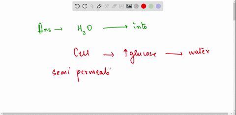 a-scientist-performs-an-experiment-in-which-they-create-an-artificial-cell-with-a-selectively-permeable-membrane-through-which-only-water-can-pass-they-inject-a-5m-solution-of-glucose-into-t-03541