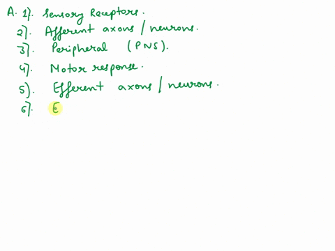 a-organization-of-nervous-system-fill-in-the-blanks-with-the-correct-term-chosen-from-the-following-moorrr-peripheral-receptors-effectors-efferent-1-if-you-touch-a-hot-stove-with-your-handth-86648