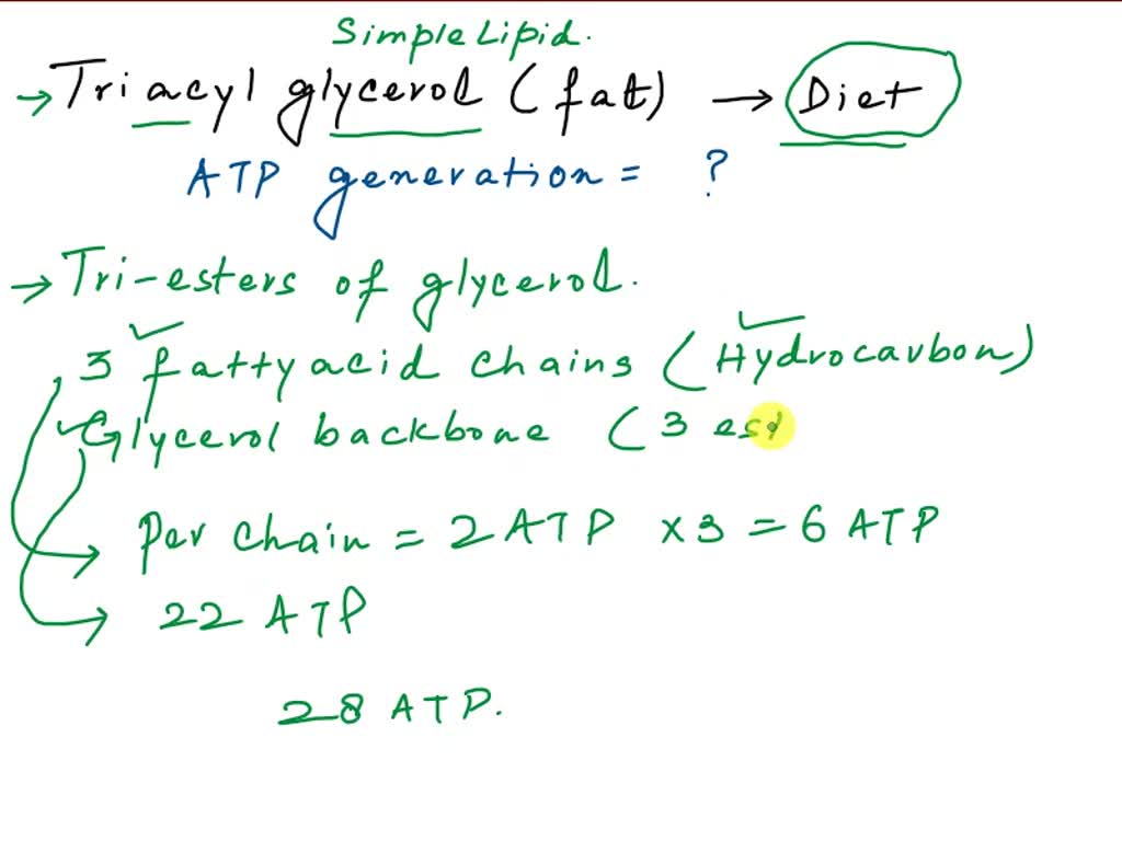 SOLVED: The triacylglycerol shown below is delivered by chylomicrons to ...