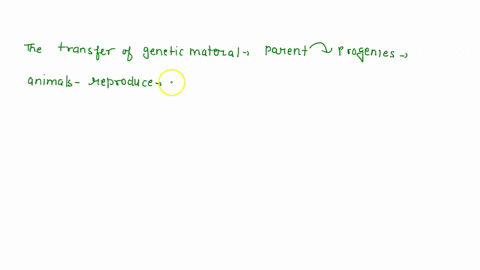 what-is-the-relationship-between-this-loss-and-dna-as-heritable-biological-information-in-terms-of-similarities-between-cellular-and-organismal-generations-match-the-terms-in-the-left-column-98756