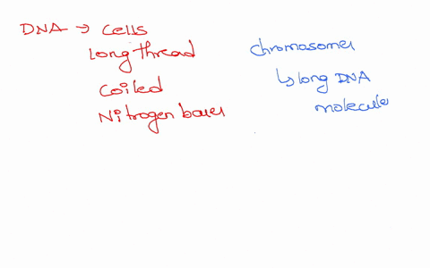 dna-is-typically-found-in-cells-in-the-form-of-a-very-long-strand-that-is-coiled-many-times-and-contains-thousands-or-millions-of-nitrogen-bases-which-term-describes-this-very-long-molecule-46732
