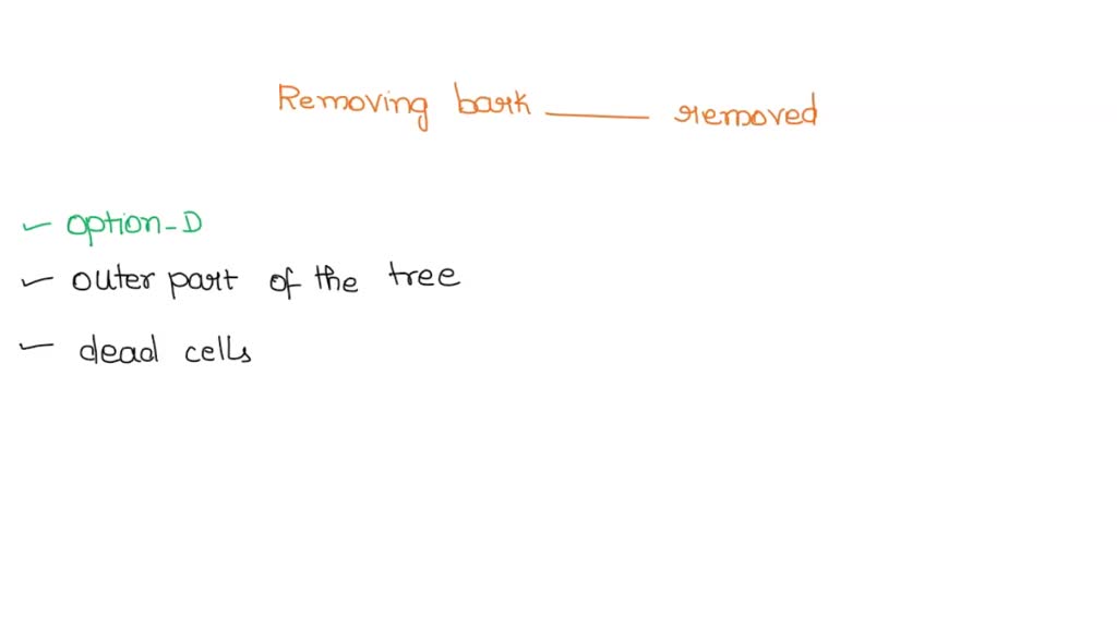 SOLVED Removing bark from a tree means that are removed. cortex, cork
