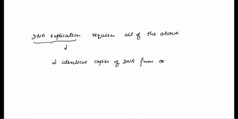 dna-replication-requires-______-a-template-dna-b-free-nucleotides-c-dna-polymerase-d-all-of-the-abov-72263