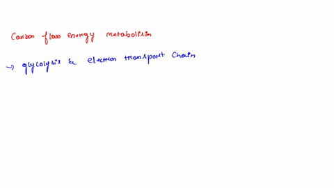 the-carbon-flow-of-energy-metabolism-is-illustrated-below-which-cellular-process-are-shown-glucose-eukaryotic-cell-pyruvate-mitochondrion-pyruvate-co2-c02-glycolysis-and-the-electron-transpo-56752