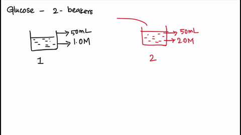 two-beakers-one-containing-a-50-mathrmml-aqueous-10-mathrmm-glucose-solution-and-the-other-a-50-math-08217