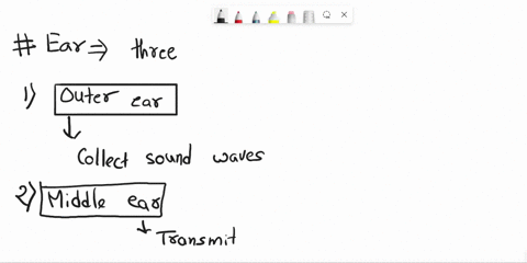 what-are-the-three-divisions-of-the-ear-and-their-function-26866