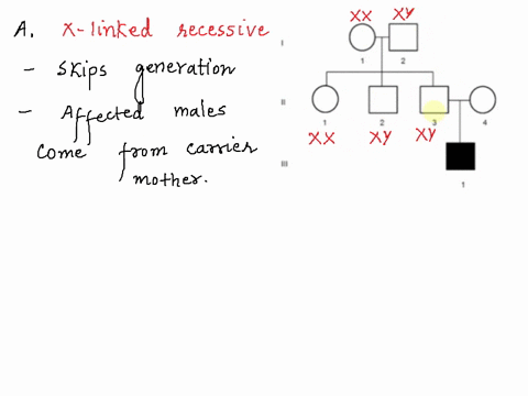a-based-on-the-pedigree-below-what-is-a-possible-mode-of-inheritance-for-the-trait-autosomal-dominant-autosomal-recessive-x-linked-recessivex-linked-dominant-y-linked-assume-100-penetrance-c-19756