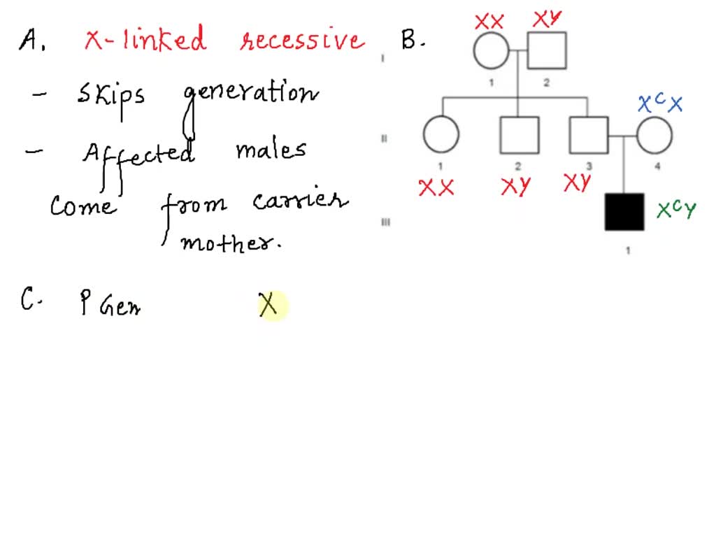 SOLVED: A. Based On The Pedigree Below; What Is A Possible Mode Of ...