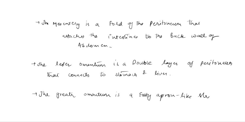 SOLVED: Label the structures of the peritoneum: - Greater omentum ...