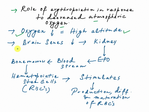 answer-all-question-cell-biology-62024