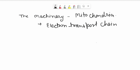 which-statement-best-describes-the-energy-transformation-that-occurs-inside-a-mitochondrion-a-thermal-energy-is-converted-to-chemical-energy-b-chemical-energy-is-converted-to-another-form-of-77082