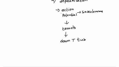 a-prior-to-intubation-for-a-surgical-procedure-the-anesthesiologist-administered-a-single-dose-of-the-neuromuscular-blocking-agent-succinylcholine-to-a-23-year-old-female-to-provide-muscular-99738