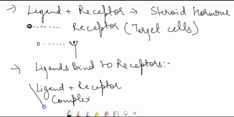 cells-receive-signals-from-neighboring-cells-and-often-respond-with-a-change-in-gene-expression-shown-below-are-the-3-major-steps-in-steroid-hormone-signaling-just-before-the-ligand-binds-to-08596
