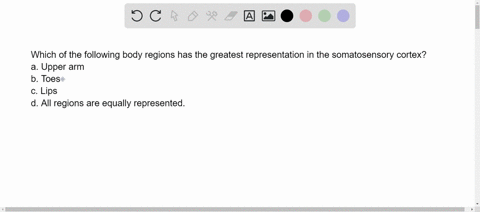 which-of-the-following-body-regions-has-the-greatest-representation-in-the-somatosensory-cortex-a-2-48737