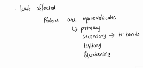 the-structural-level-of-a-protein-least-affected-by-a-disruption-in-hydrogen-bonding-is-the-a-prim-2-17973